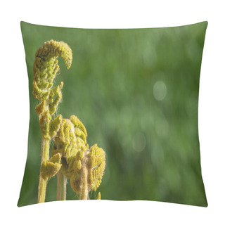 Personality  SpringBloom Pillow Covers