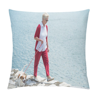 Personality  Senior Woman And  Her Dog Pillow Covers