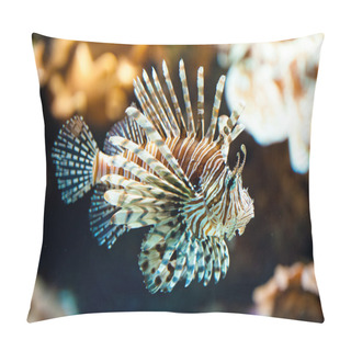 Personality  Red Lionfish (lat. Pterois Volitans) Pillow Covers