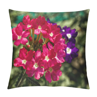 Personality  Bright Pink Blossoms Stand Out Against A Backdrop Of Green Foliage. Pillow Covers