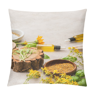 Personality  Wildflowers, Herbs, Bottles And Pills On Concrete Background, Naturopathy Concept Pillow Covers