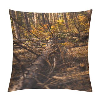 Personality  Fallen Tree Trunk On Ground In Autumnal Forest Pillow Covers