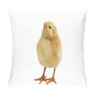 Personality  Yellow Chicken Pillow Covers