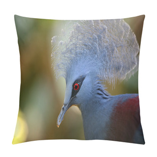 Personality  Beautiful Blue Crowned Pigeon Pillow Covers
