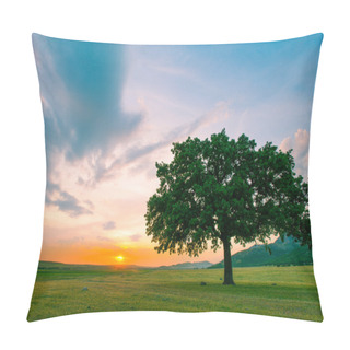 Personality  Beautiful And Old Oak At The Sunset Pillow Covers