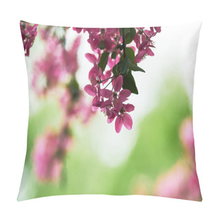 Personality  Close-up Shot Of Branch Of Pink Cherry Blossom On Green Natural Background Pillow Covers
