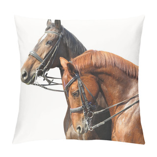 Personality  Portrait Of Two Brown Horses Isolated On White Pillow Covers