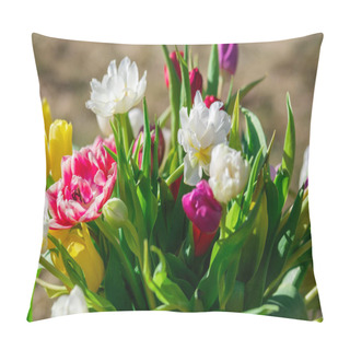 Personality  Golden Beams Of Sunlight Weave Through Tulip Petals, Illuminating A World Of Vibrant Hues Pillow Covers