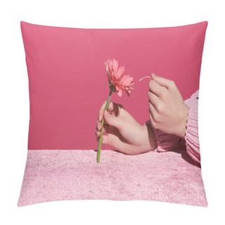 Personality  Cropped View Of Woman Picking Out Gerbera Petals On Velour Cloth Isolated On Pink, Girlish Concept  Pillow Covers