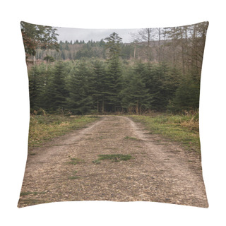 Personality  Woodland Path In The Middle Of The Forest Pillow Covers