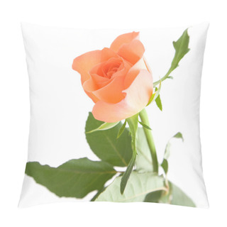 Personality  Pale Orange Rose Isolated On White Background; Pillow Covers