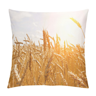 Personality  Grain In A Farm Field And Sun Pillow Covers