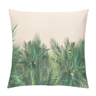 Personality  Top And Aerial View On Tropical Sand Beach, Palm Tree. Copy Space. Drone Photo. Background Pillow Covers