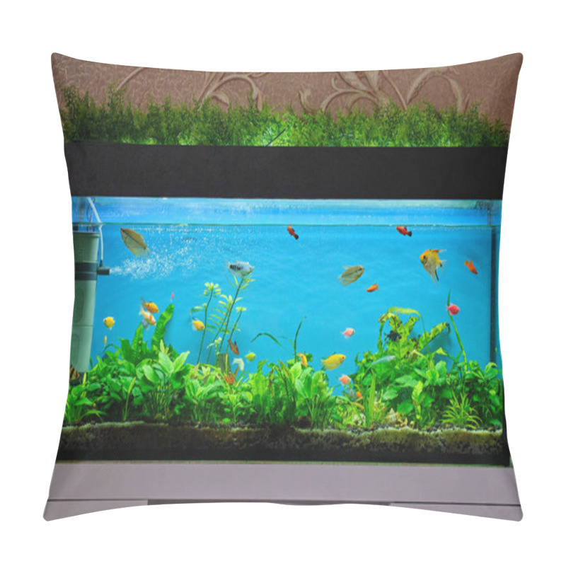 Personality  Colorful exotic fish swimming in deep blue water aquarium with green tropical plants pillow covers