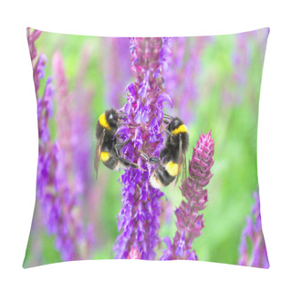 Personality  Fluffy Bumblebees On Fresh Purple Flowers Of Sage On A Vivid Green Background In A Beautiful Sunny Garden  Pillow Covers