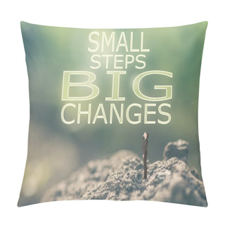 Personality  Small Steps Big Changes Pillow Covers
