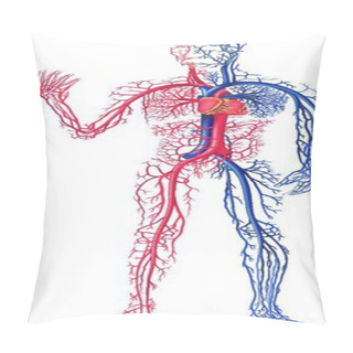 Personality  Circulation Of Blood - Colored Illustration, Vector Pillow Covers