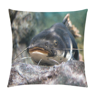 Personality  Catfish Pillow Covers