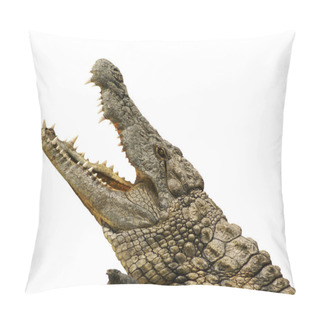 Personality  Alligator Isolated Pillow Covers