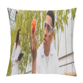 Personality  African American Botanist In Goggles Holding Tomato Near Blurred Colleague In Greenhouse, Banner  Pillow Covers