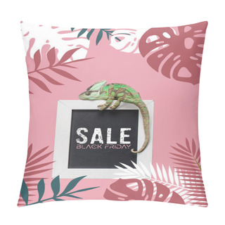 Personality  Green Chameleon On Blackboard With Black Friday Sale Isolated On Pink With Monstera And Palm Leaves Pillow Covers