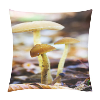 Personality  Forest Mushrooms In A Clearing Among The Fallen Leaves On Natural Background In Natural Habitat Close Up. Shallow Depth Of Field Pillow Covers