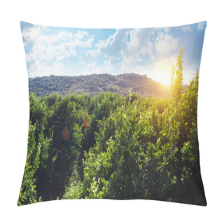 Personality  Lemon Trees In Greece Pillow Covers