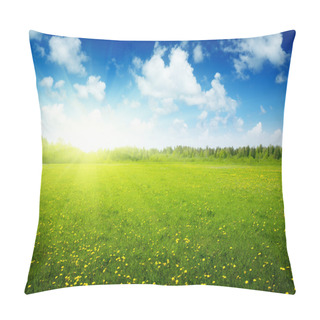 Personality  Field Of Spring Flowers And Perfect Sky Pillow Covers