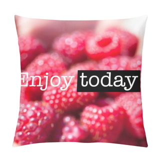 Personality  Red Raspberries. Enjoy Today  Pillow Covers