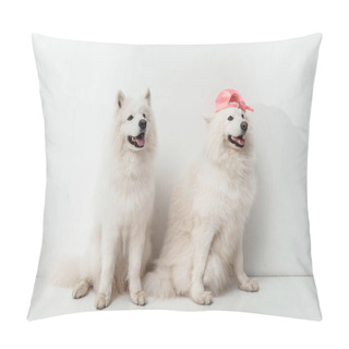 Personality  Samoyed Dogs Pillow Covers