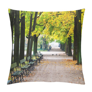 Personality  Beautifull Alley In Lazienki Park, Warsaw, Poland Pillow Covers