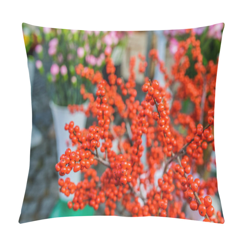 Personality  Shepherdia Pillow Covers