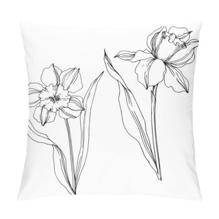 Personality  Vector Narcissus Floral Botanical Flower. Black And White Engraved Ink Art. Isolated Narcissus Illustration Element. Pillow Covers