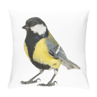 Personality  Male Great Tit, Parus Major, Isolated On White Pillow Covers