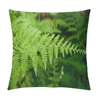 Personality  Green Ferns Pillow Covers