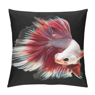 Personality  Captivating Coloration Of The Red And White Betta Fish Creates A Visually Striking Appearance That Draws Attention And Admiration, Betta Splendens Isolated On Black Background. Pillow Covers