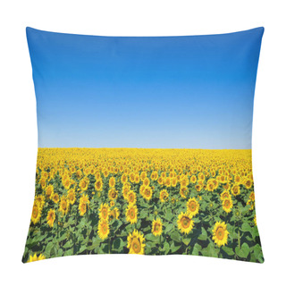 Personality  Field Of Yellow Sunflowers Against The Blue Sky Pillow Covers