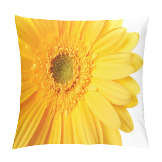 Personality  Beautiful Yellow Flower Petals Closeup Pillow Covers