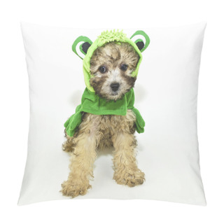 Personality  Poodle Puppy In A Frog Outfit. Pillow Covers