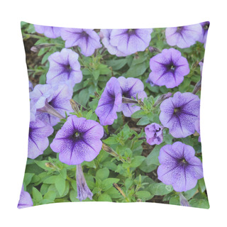 Personality  Petunia Flower Pillow Covers
