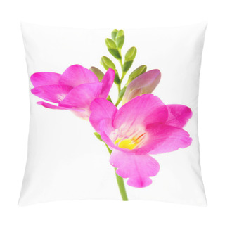 Personality  Beautiful Freesia Flower, Isolated On Whit Pillow Covers