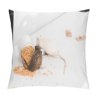Personality  Selective Focus Of Small Rats Near Glass Jar With Peas On Table  Pillow Covers