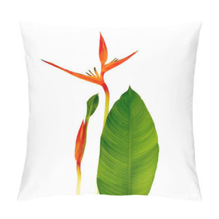 Personality  Beautiful Red, Yellow And Orange Heliconia (Heliconia Spp.) Flower. Pillow Covers