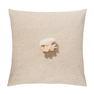 Personality  Top View Of Coral Lying On Sandy Beach Pillow Covers