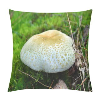 Personality  Russula Virescens Mushroom Pillow Covers