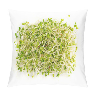 Personality  Red Clover Sprouts And Radish Sprouts On White Background Top View. Sprouted Vegetable Seeds For Raw Diet Food, Micro Green Healthy Eating Concept Pillow Covers