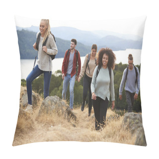 Personality  Group Of Five Young Adult Friends Smiling While Hiking To A Mountain Summit Pillow Covers