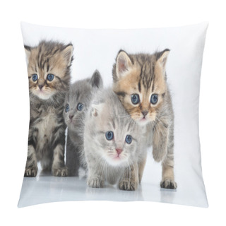 Personality  Group Of Little Kittens Pillow Covers