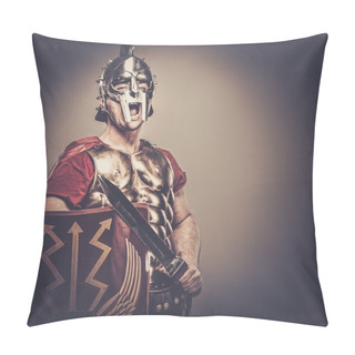 Personality  Legionary Soldier Ready For A War Pillow Covers