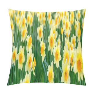 Personality  Daffodils Pillow Covers